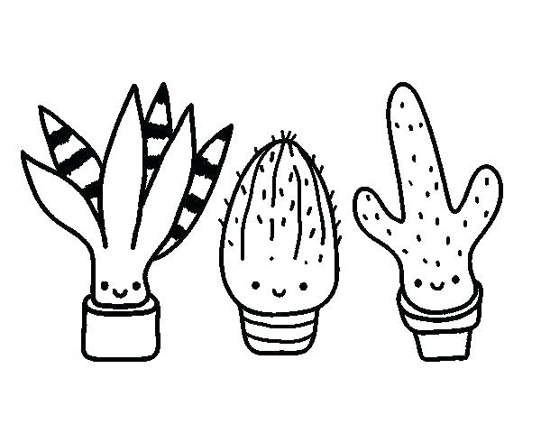 600x470 Cactus Coloring Pages Shippa.co