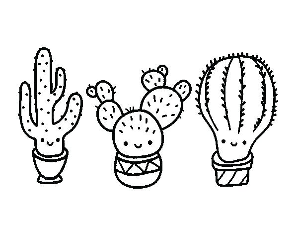 600x470 Cactus Coloring Page Cactus Coloring Pages 3 Mini Cactus Coloring