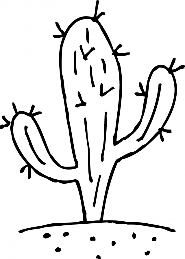 640x894 Cactus Coloring Page Inspirational Drawn Skull Female Skull Logo