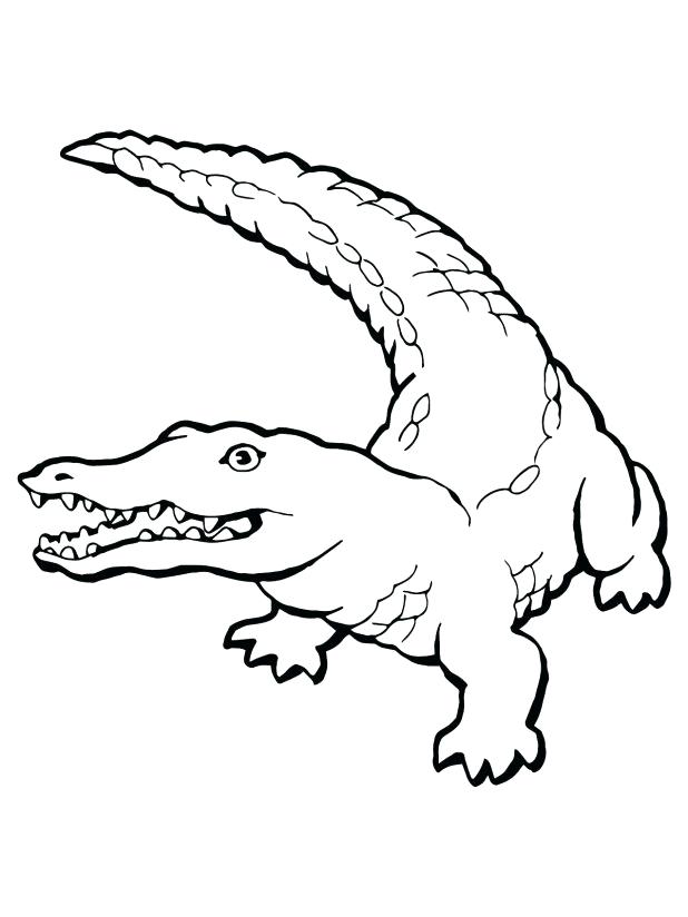618x824 Coloring Pages Excellent Gators Coloring Pages Good Alligator