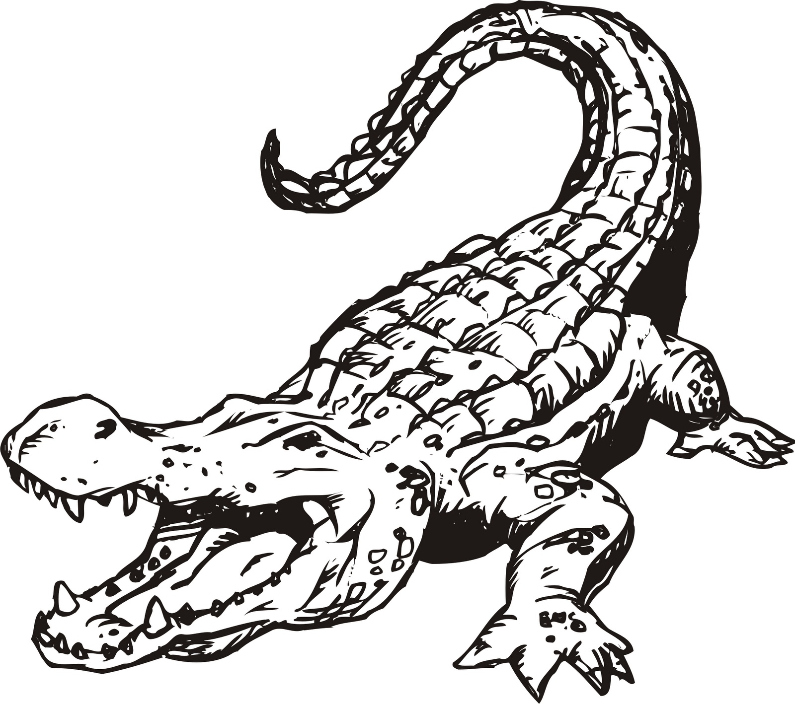 1600x1418 Top 76 Crocodile Coloring Pages