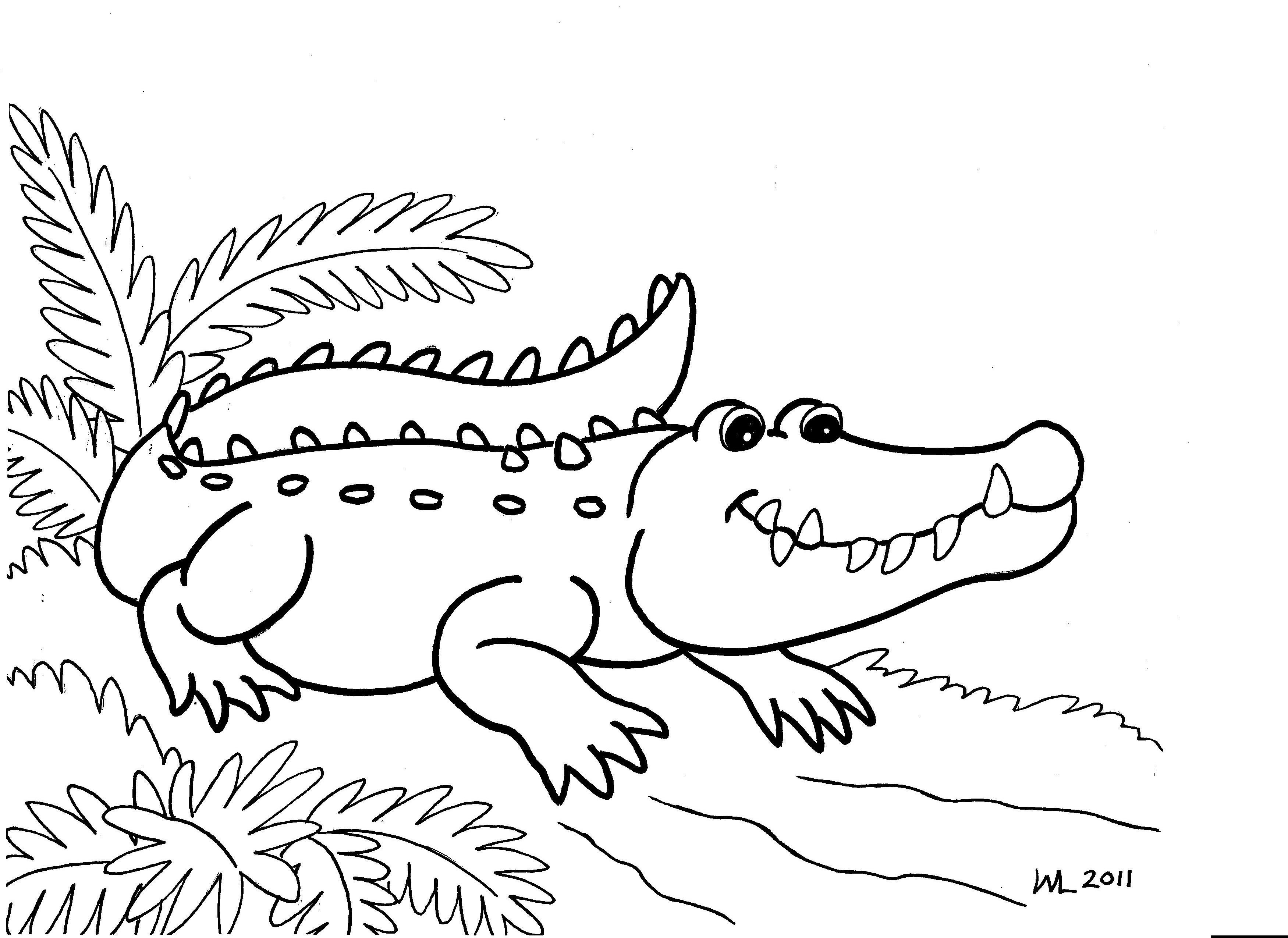 3501x2550 Alligator Coloring Pages