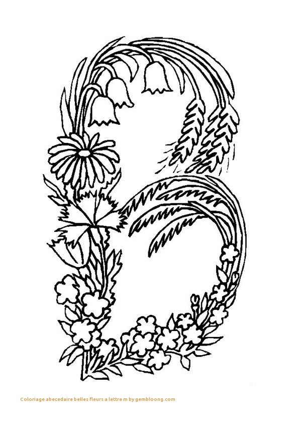 595x841 Animal Coloring Pages Crocodile Coloring Pages Best Of Caiman