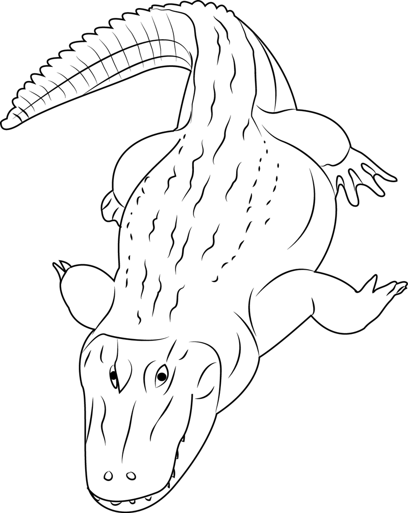 800x1006 Black Caiman Coloring Page