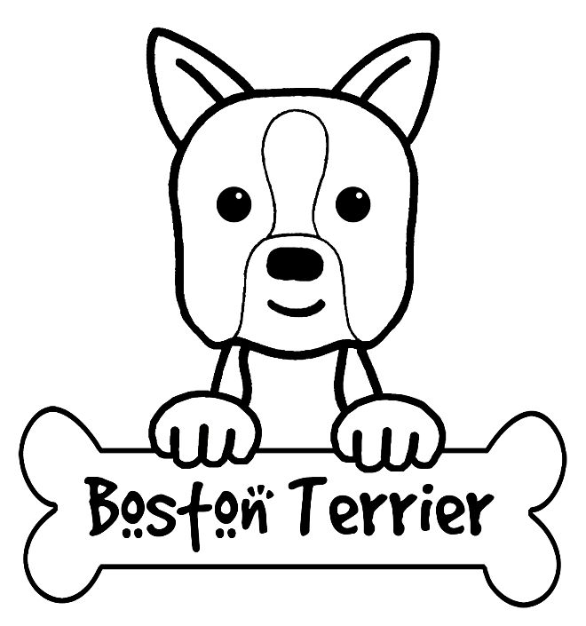 660x705 Coloring Pages. Boston Terrier Coloring Page