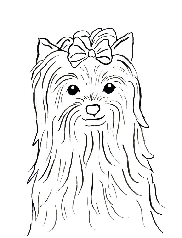 760x991 Yorkie Coloring Page Click To See Printable Version Of Cairn