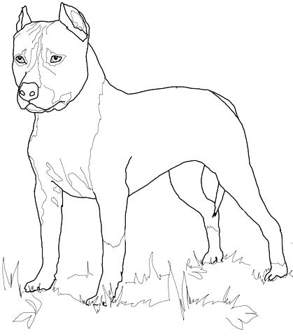 419x480 Boston Terrier Colouring Page
