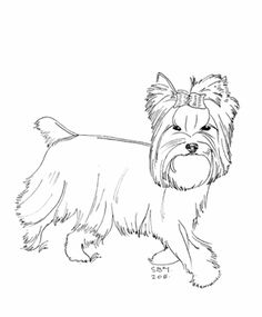 236x285 Cairn Terrier Coloring Page Home Cairn Terriers