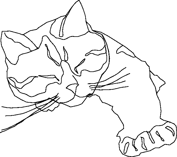 600x532 Calico Cat Coloring Pages Art Line Drawings Sleepy Calico Cat Line