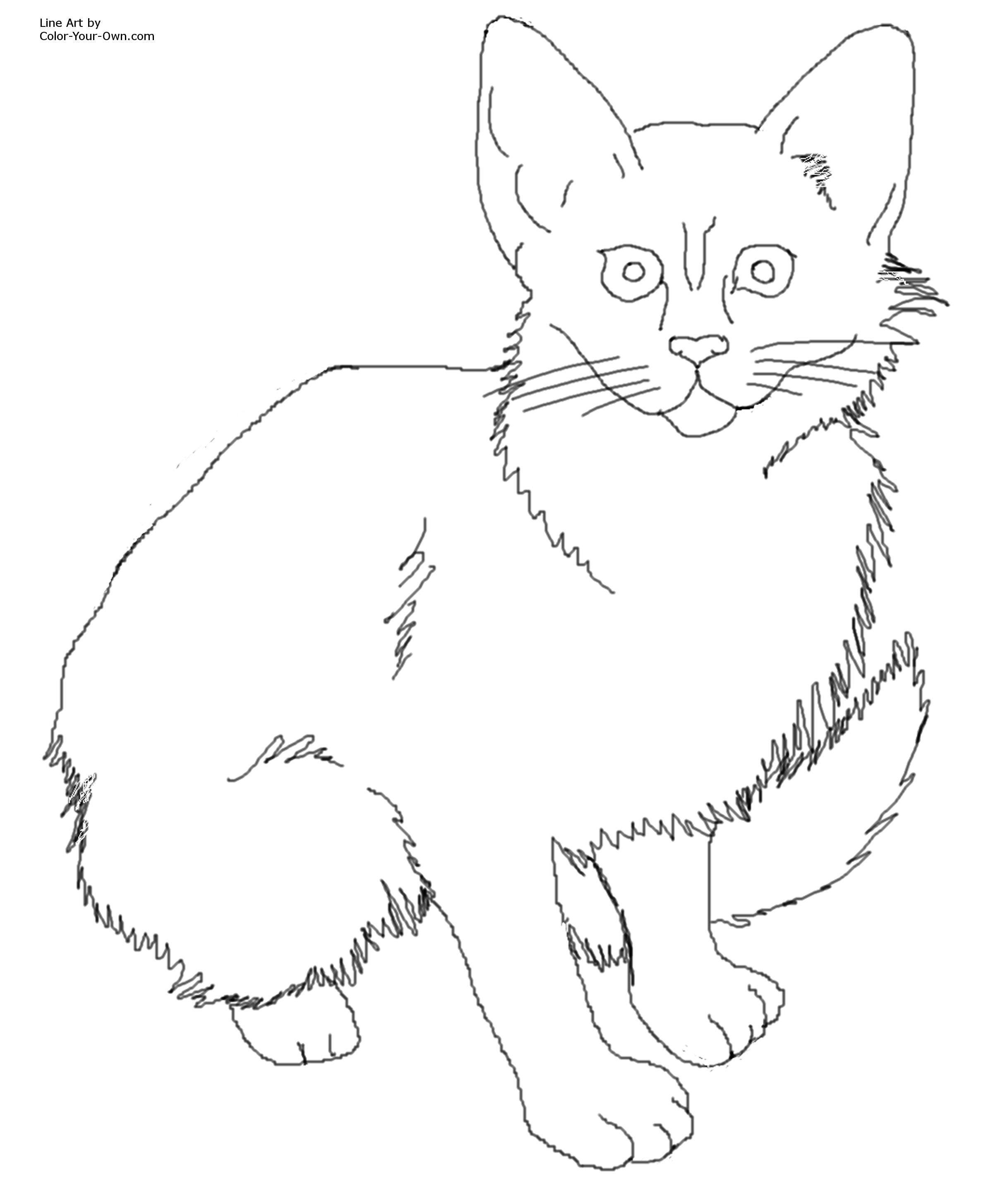2400x2913 The Best Calico Critter Coloring Cat Pics For Page Ideas And Trend