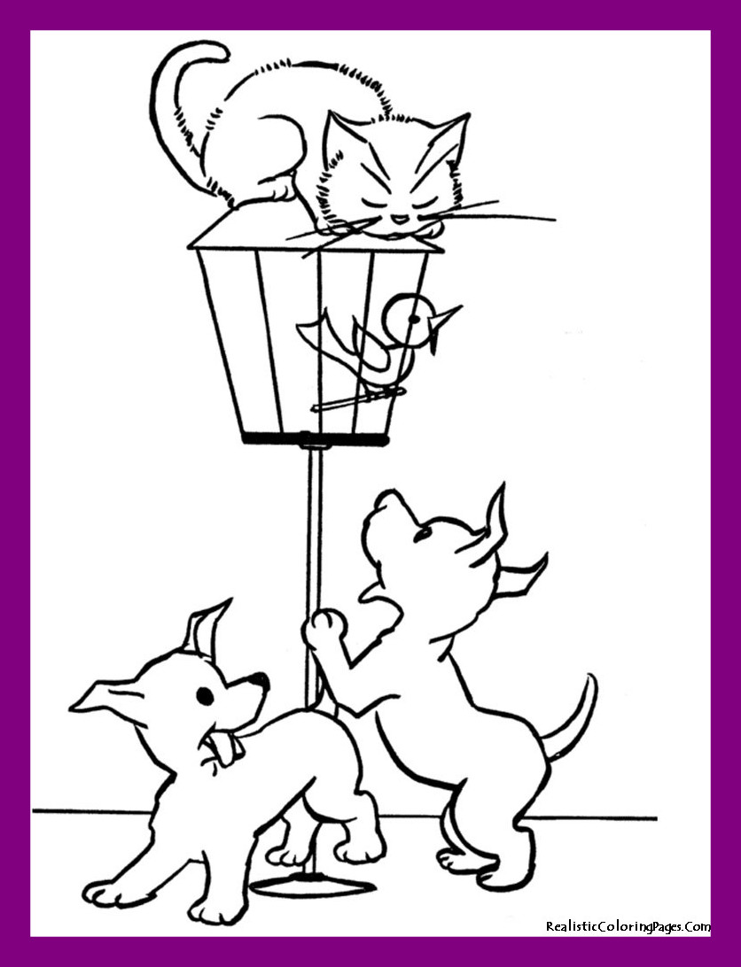 836x1092 Appealing Luxury Calico Cat Coloring Pages Picture Of Cute Trend