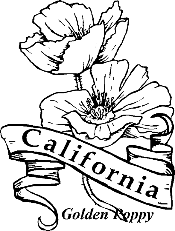 585x774 25 California Coloring Pages Selection Free Coloring Pages