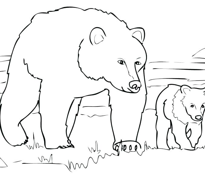678x600 Grizzly Bear Coloring Page Grizzly Bear Coloring Pages Bear