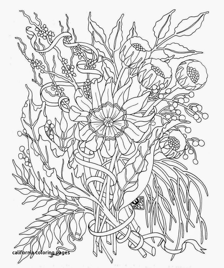 736x880 64 Best Color Me Images On For California Coloring Pages