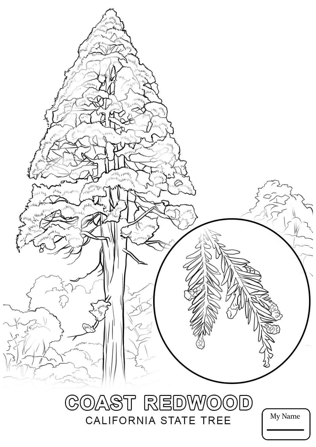 1040x1469 California Coloring Pages Countries Cultures Map Worksheet
