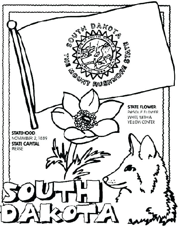 601x762 California State Flower Coloring Page Flag Coloring Page Click