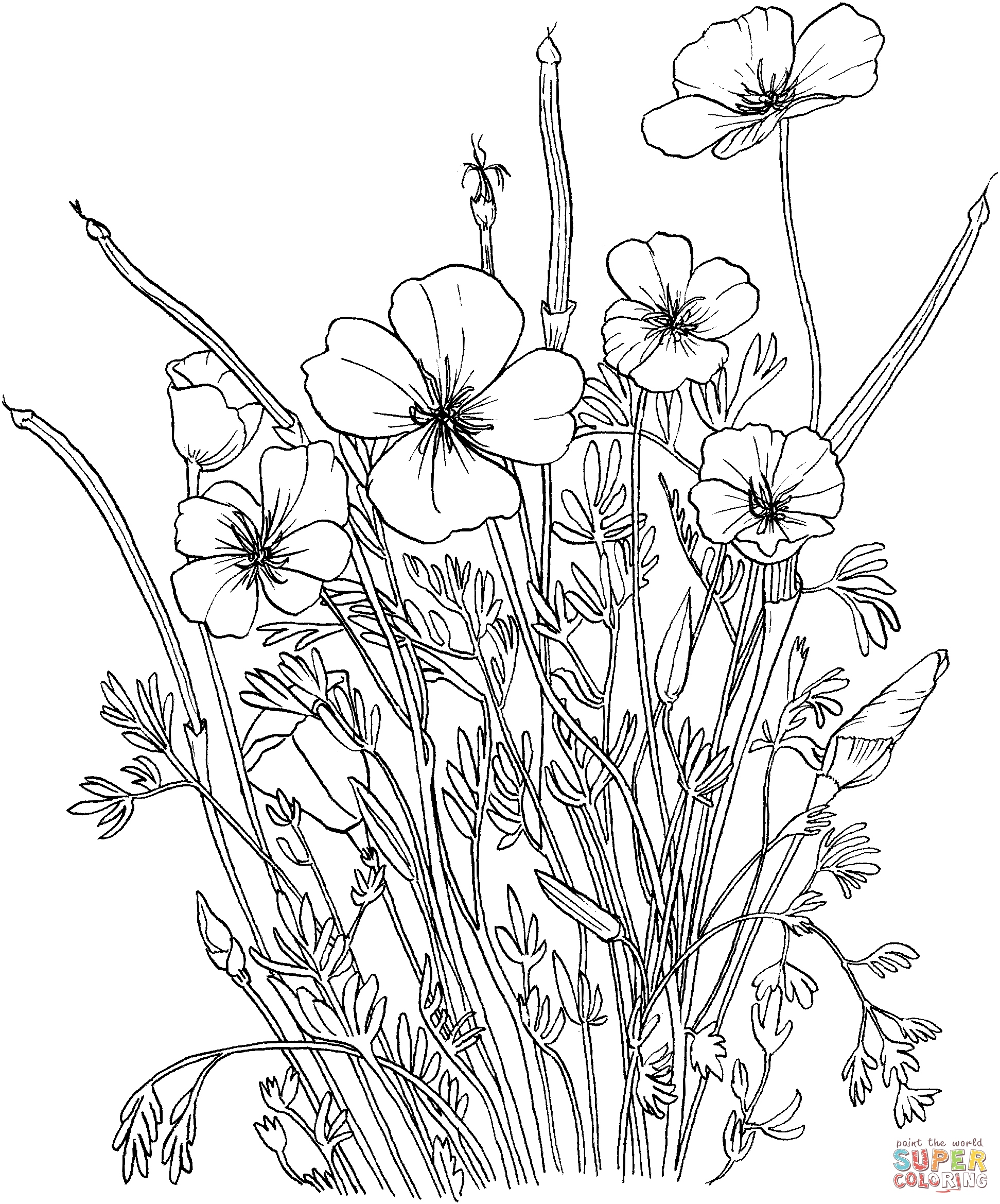 1943x2338 California Coloring Pages Awesome California State Flag Coloring