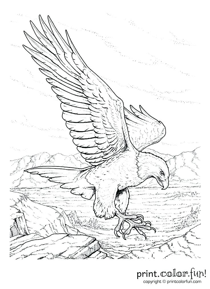 736x1012 Gold Rush Coloring Pages Snap Shot Coloring Page California Gold