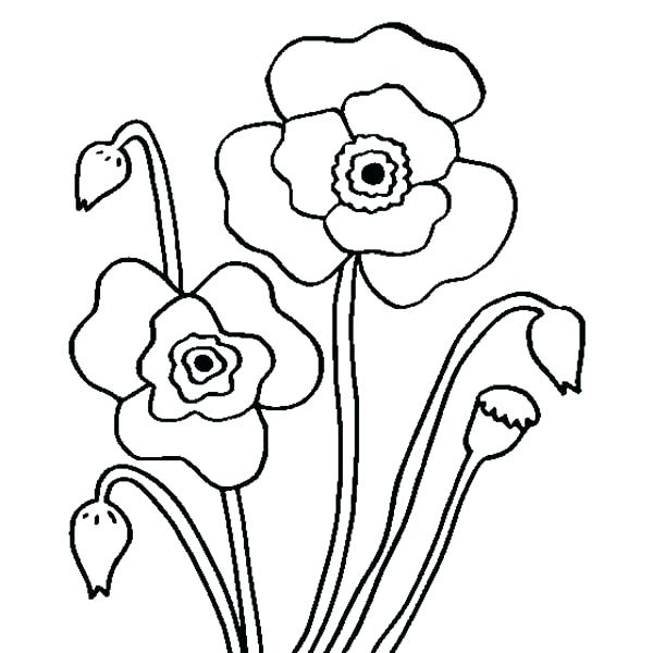 600x600 California Coloring Pages Grizzly Bear Coloring Pages As Awe