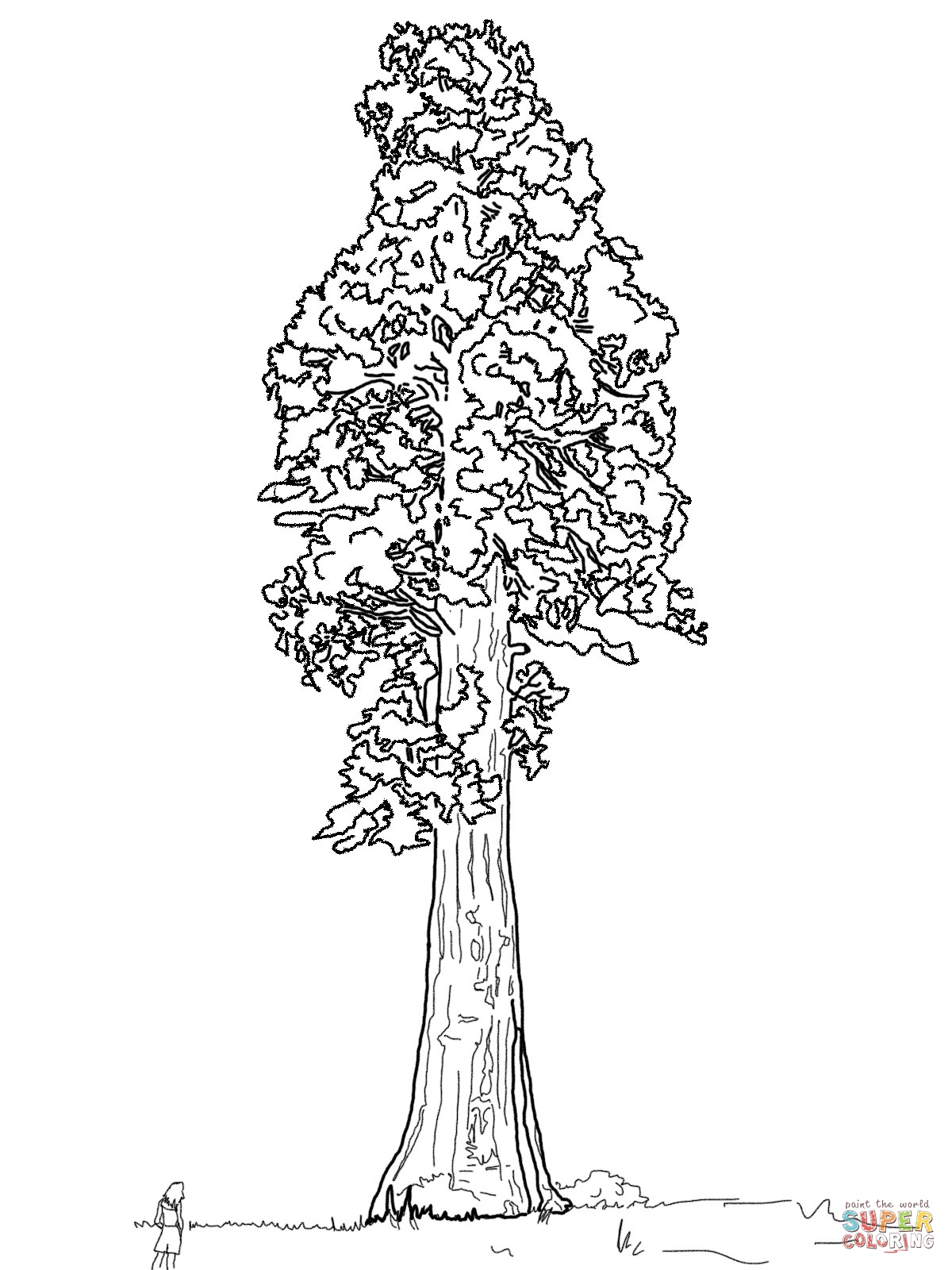 1200x1600 California Coloring Pages Inspirational Free Coloring Pages