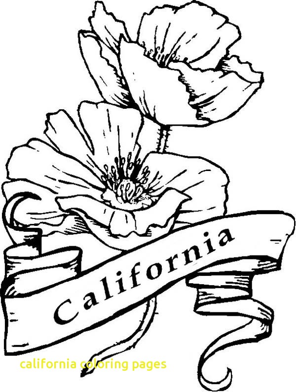 600x793 California Coloring Pages With California Poppy Coloring Page