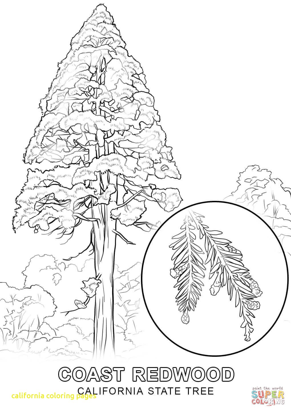 1020x1440 California Coloring Pages With California Missions History