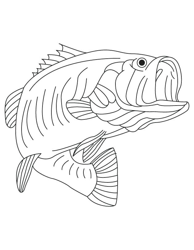630x810 California Flag Coloring Page State Flag Coloring Page State Flag