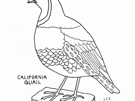 440x330 39 Manna Coloring Page, Manna From Heaven Coloring Online Super