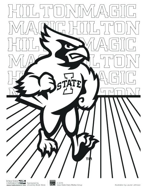 487x630 State Coloring Pages State Coloring Pages State Bird And Flower