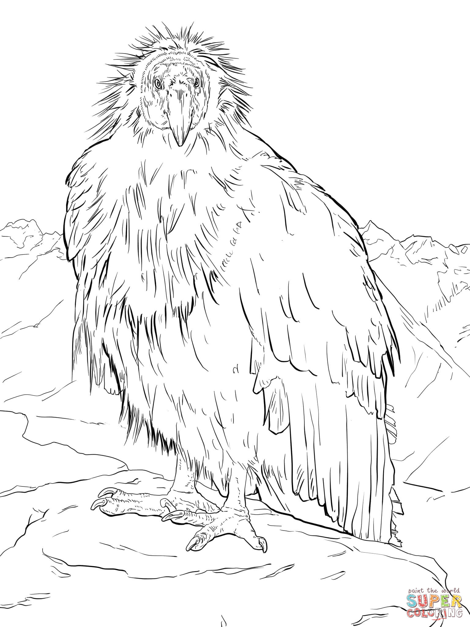 1536x2048 California State Symbols Coloring Page Free Printable Pages
