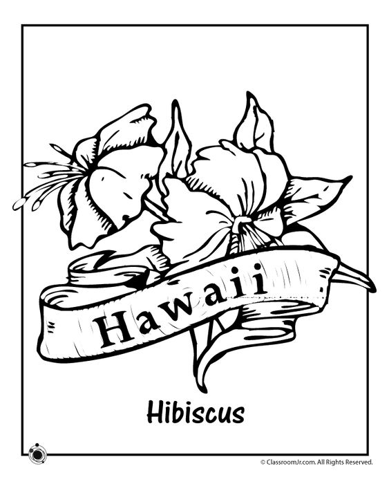 563x729 California State Symbols Coloring Pages