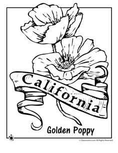 236x305 Free Printable For California State Symbols And Geography Terms