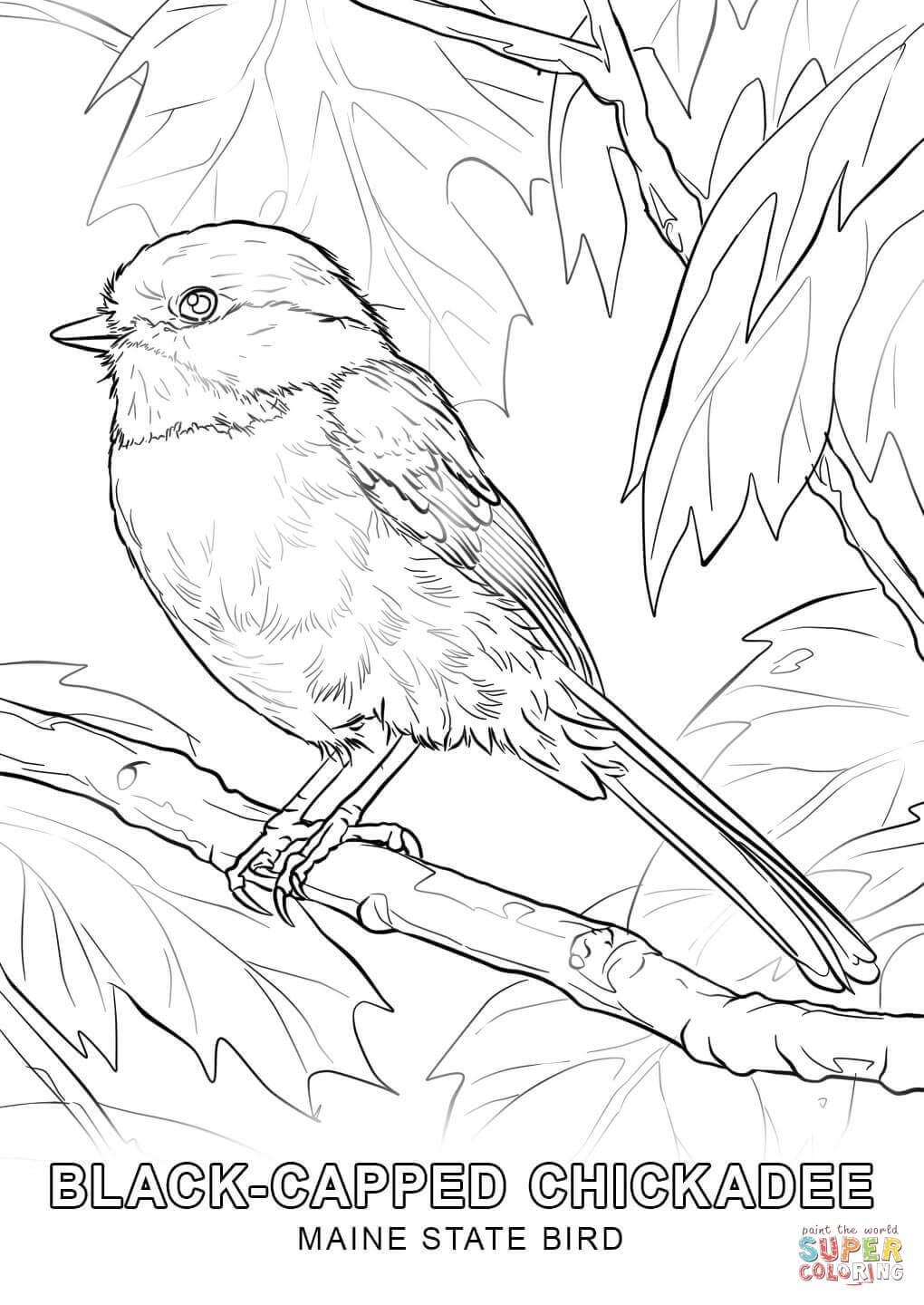 1020x1440 Perfect Idaho State Symbols Coloring Pages Mai