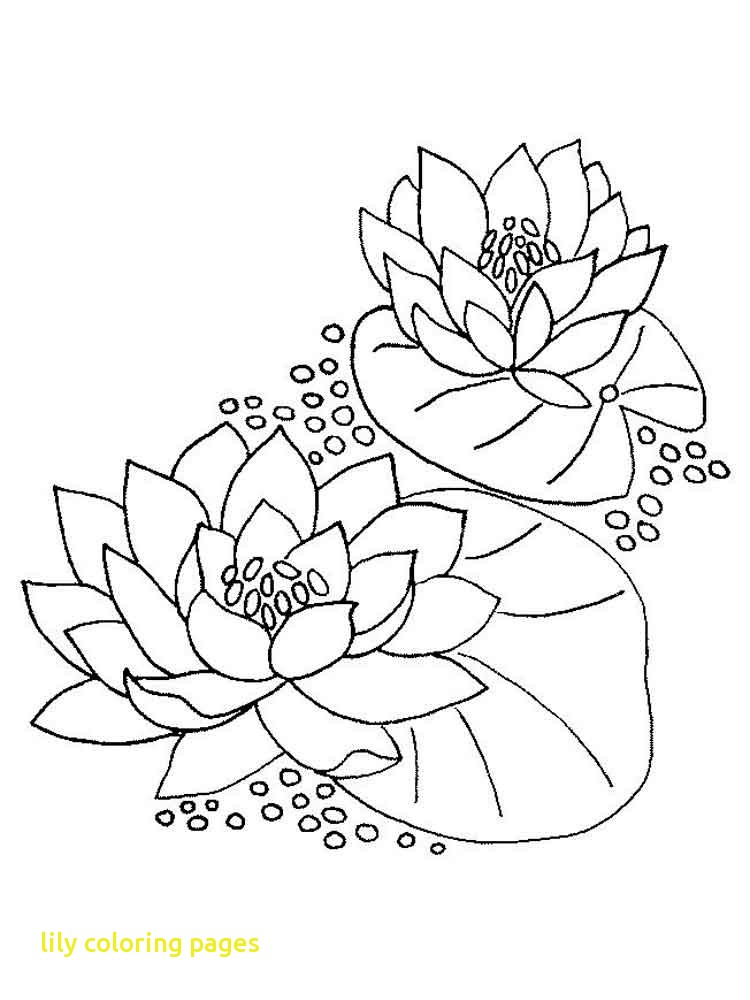 750x1000 Guaranteed Lily Coloring Pages Water And Pad Page Free Printable