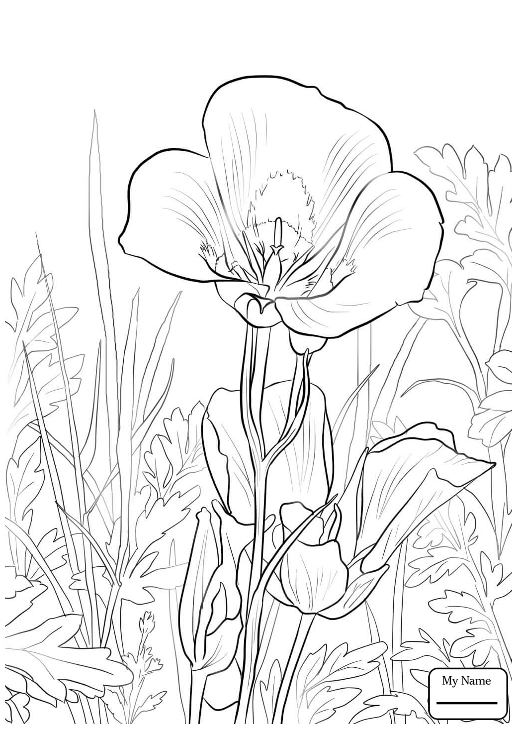 1040x1469 New Lily Flower Coloring Pages Gallery Printable Coloring Sheet