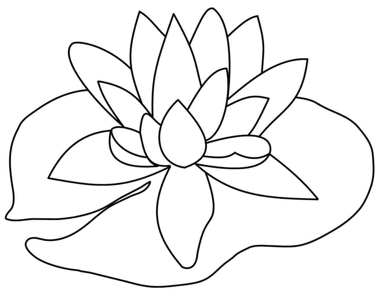 1264x972 Stunning Calla Lily Blossom Lilies Coloring Pages Image For Flower