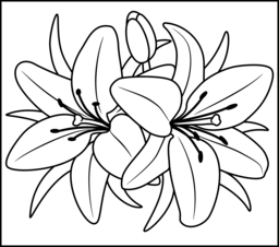 256x226 Valuable Ideas Lily Coloring Pages Flowers