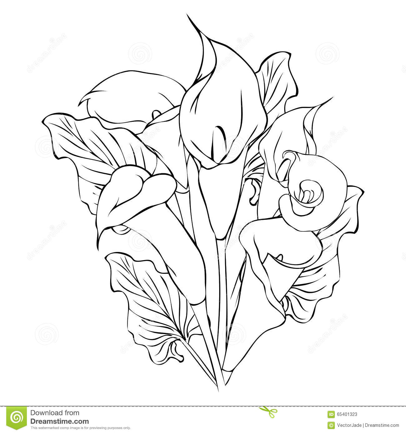 1300x1390 Calla Lily Clipart Pencil Drawing 3120046