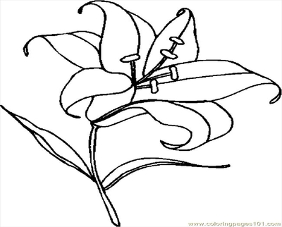 400x322 Calla Lily Coloring Pages Page Image Clipart Images