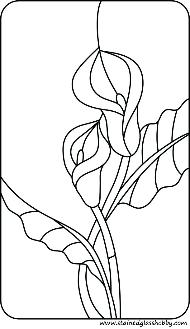 610x1052 Calla Lily Coloring Pages Stained Glass Coloring Flower Sheets