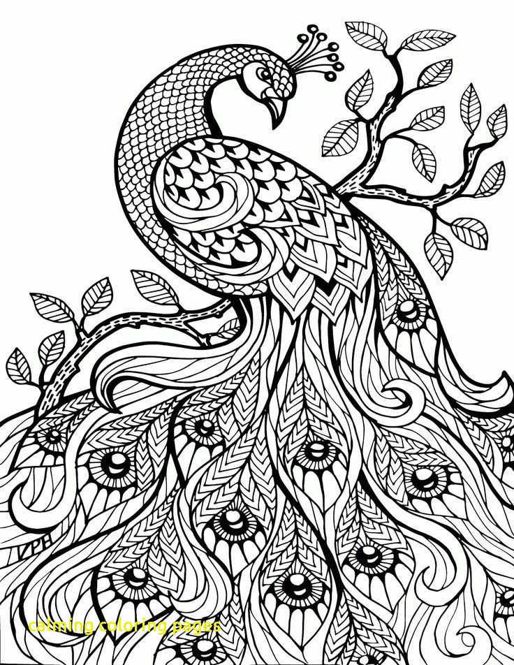736x952 Calming Coloring Pages With Colouring Pages Free Download Best 25