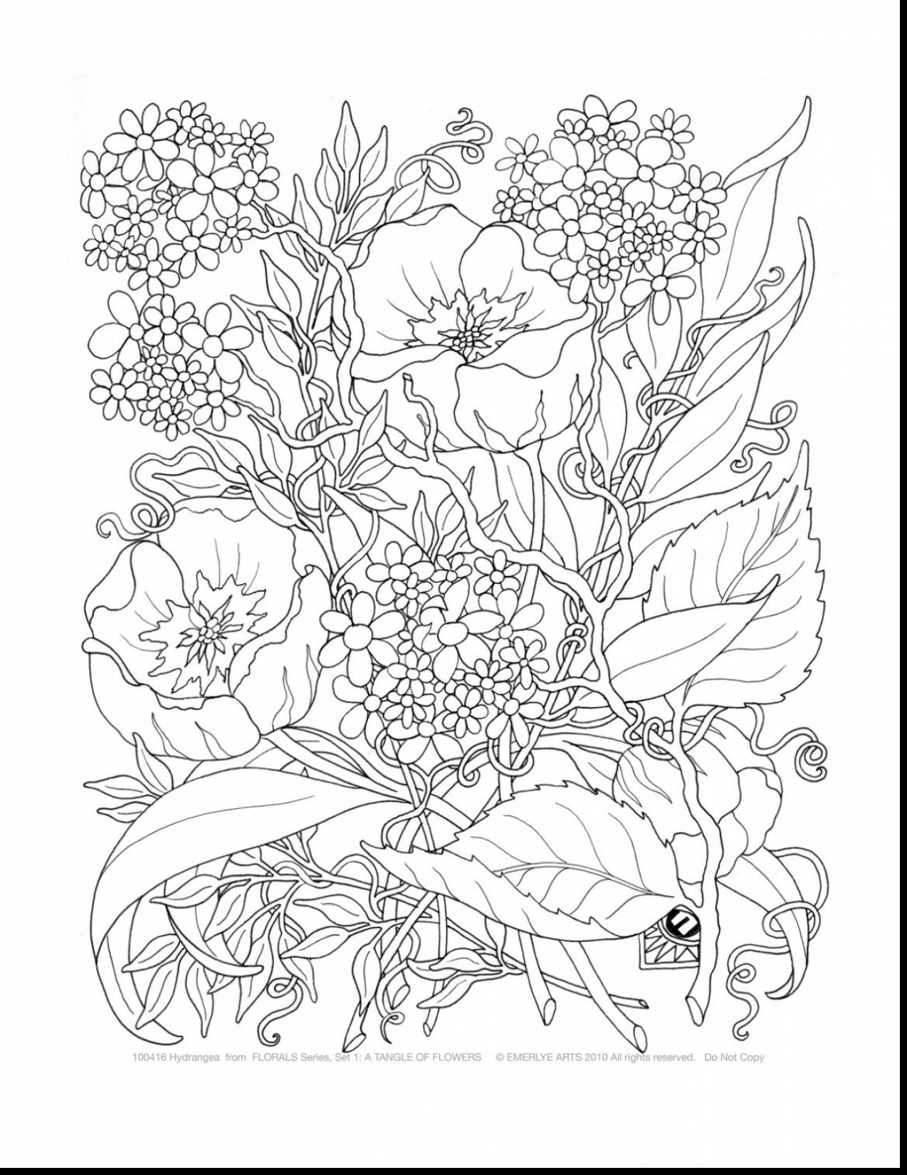 1274x1650 New Colour Calm 02 Sampler Free Coloring Pages Download