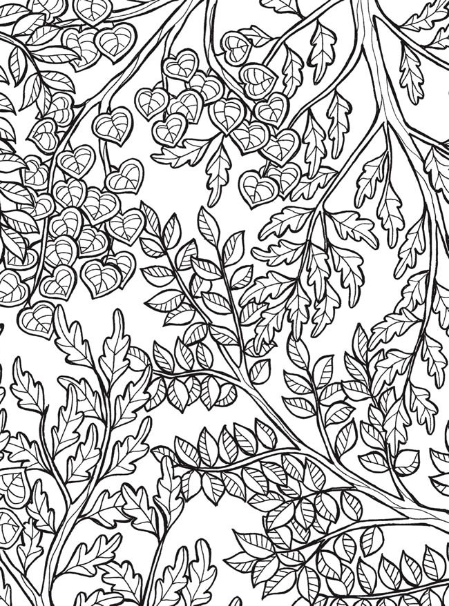 650x878 Welcome To Dover Publications Keep Calm And Color Tranquil Trees