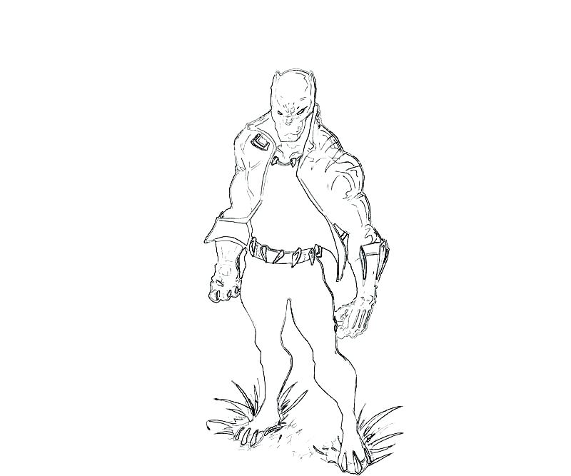 800x667 Carolina Panthers Coloring Pages