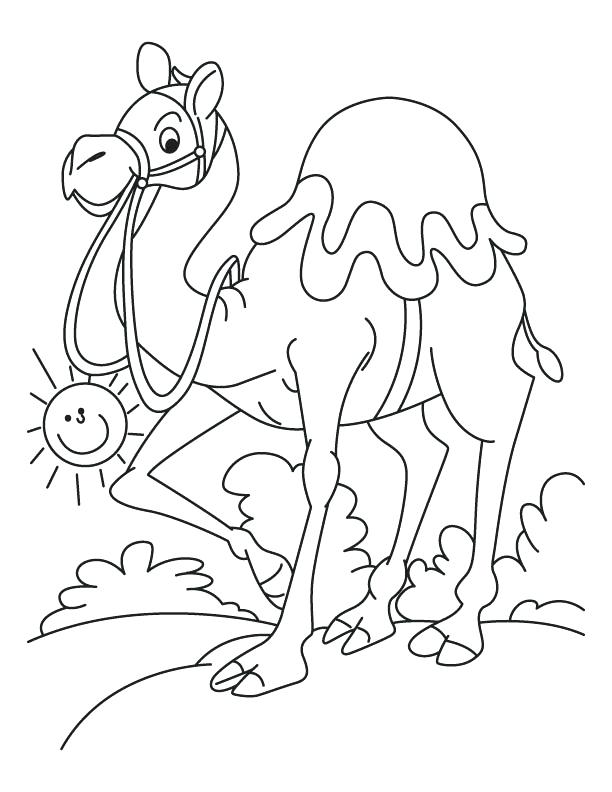 612x792 Camel Coloring Page Walking Camel Coloring Page Free Camel