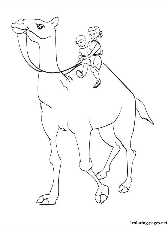 560x750 Camel Coloring Pages Coloring Page Kids With A Circus Camel Camel