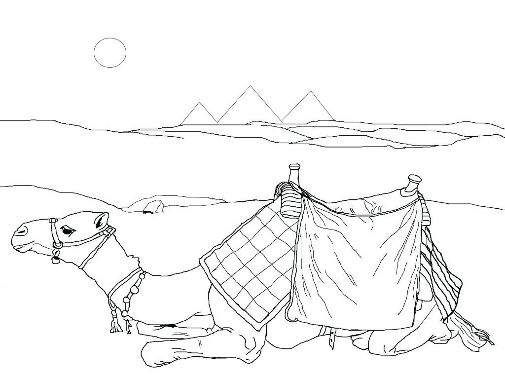 1024x768 Coloring Pages ~ Camel Coloring Page Free Pages Printable For Kids