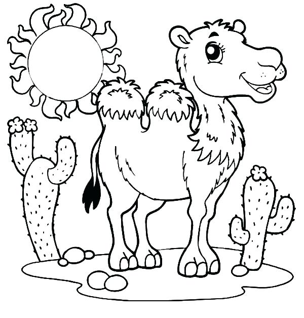 600x627 A Wild Desert Camel Coloring Pages Bulk Color Free Printable