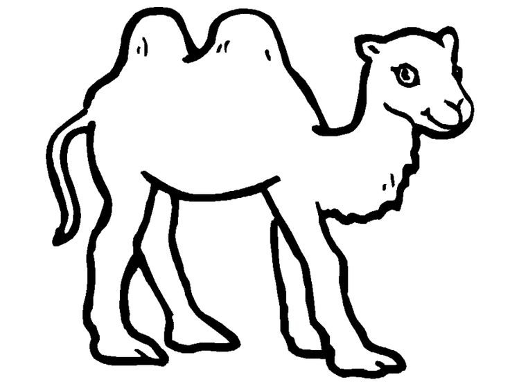 Camel Coloring Pages To Print