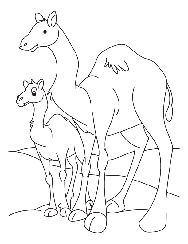 612x792 Camel Coloring Pages To Download And Print For Free